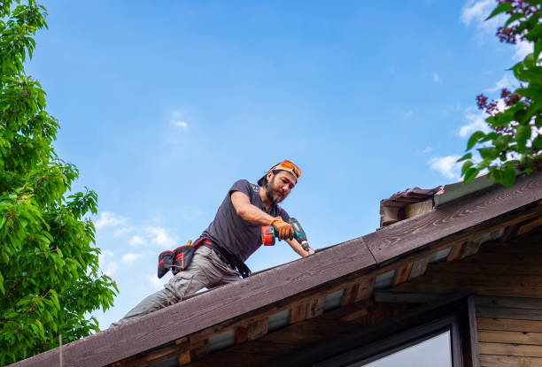 Best Siding  in Laurel, MT